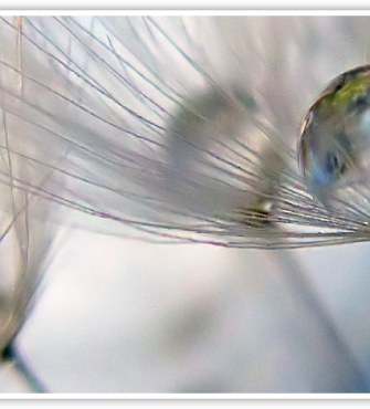 Ceremonies, Rituals and Recorded Sessions