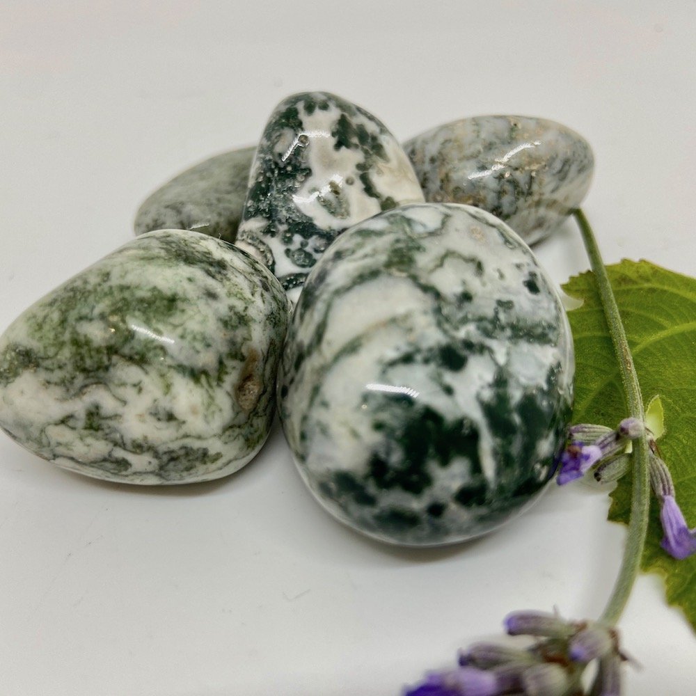 Moss Agate Tumbled - Image 2