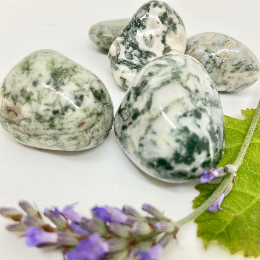 Moss Agate Tumbled