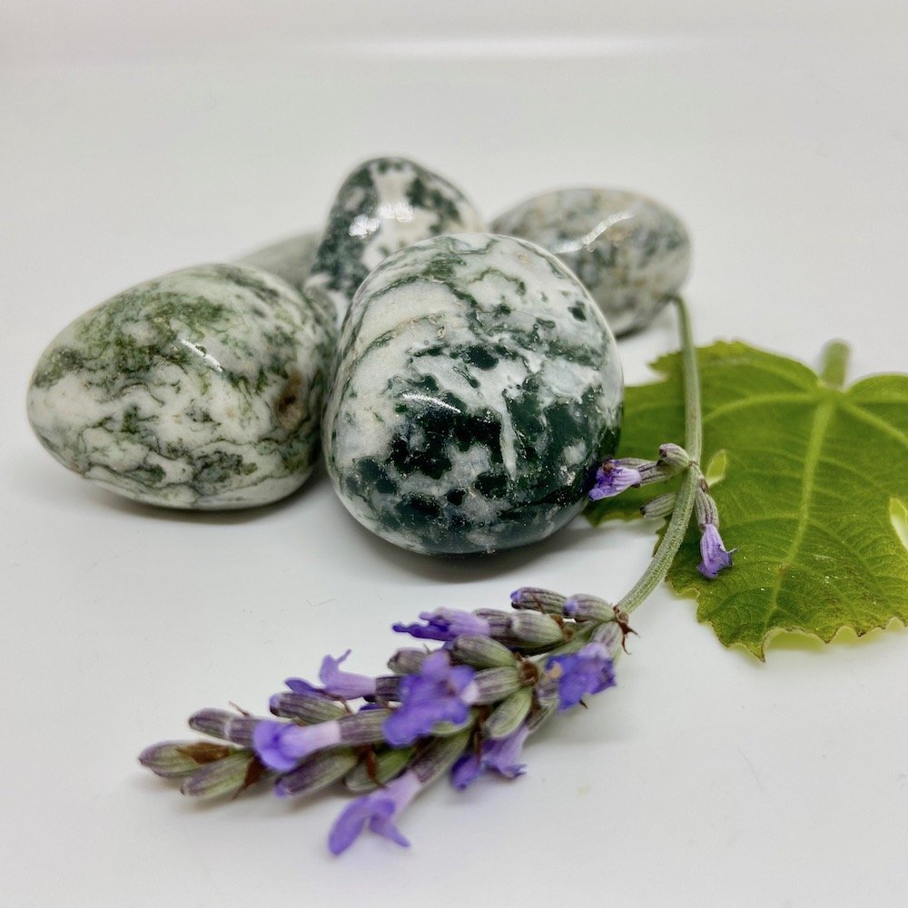 Moss Agate Tumbled - Image 4