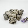 Dalmatian Jasper Tumbled