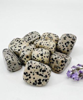 Dalmatian Jasper Tumbled