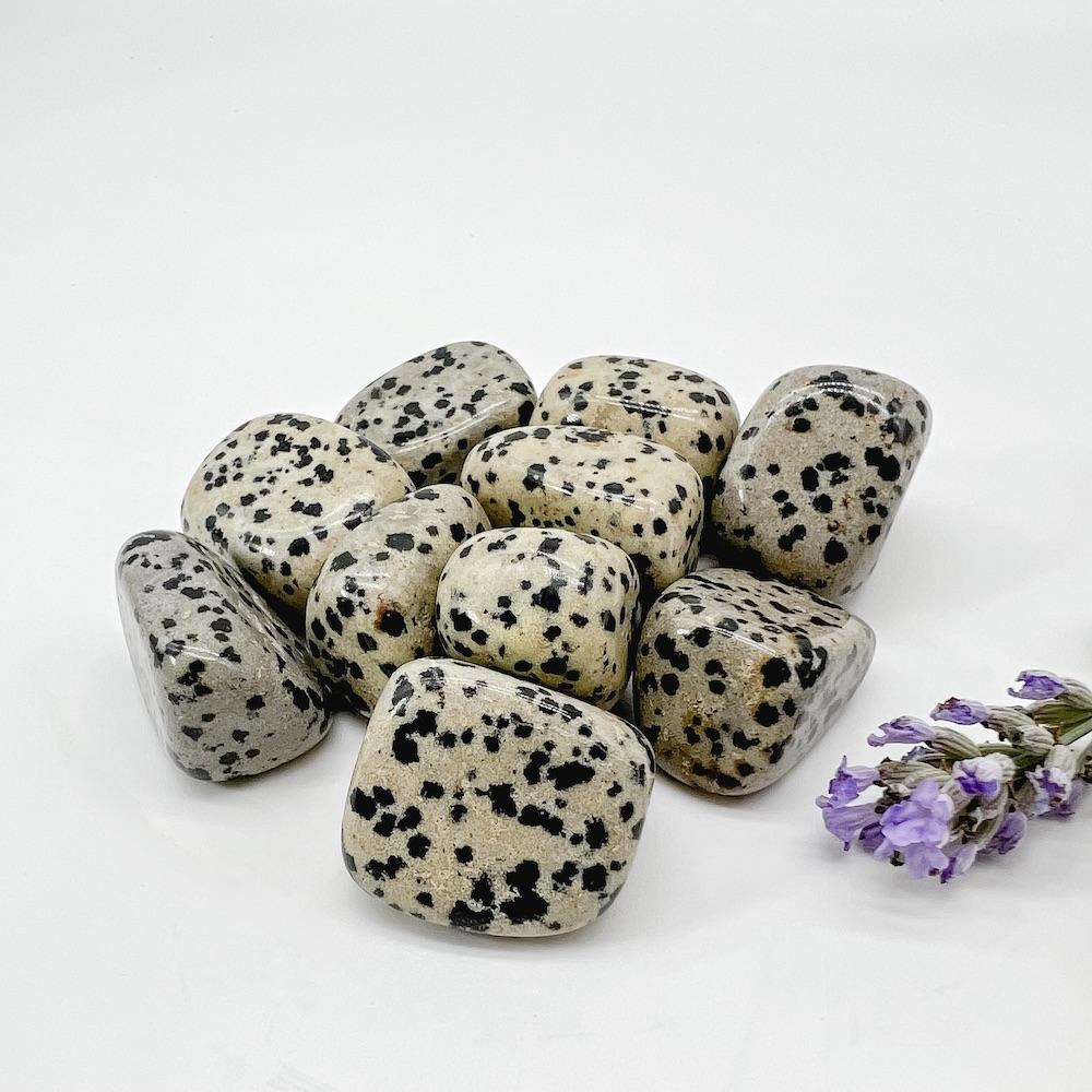 Dalmatian Jasper Tumbled