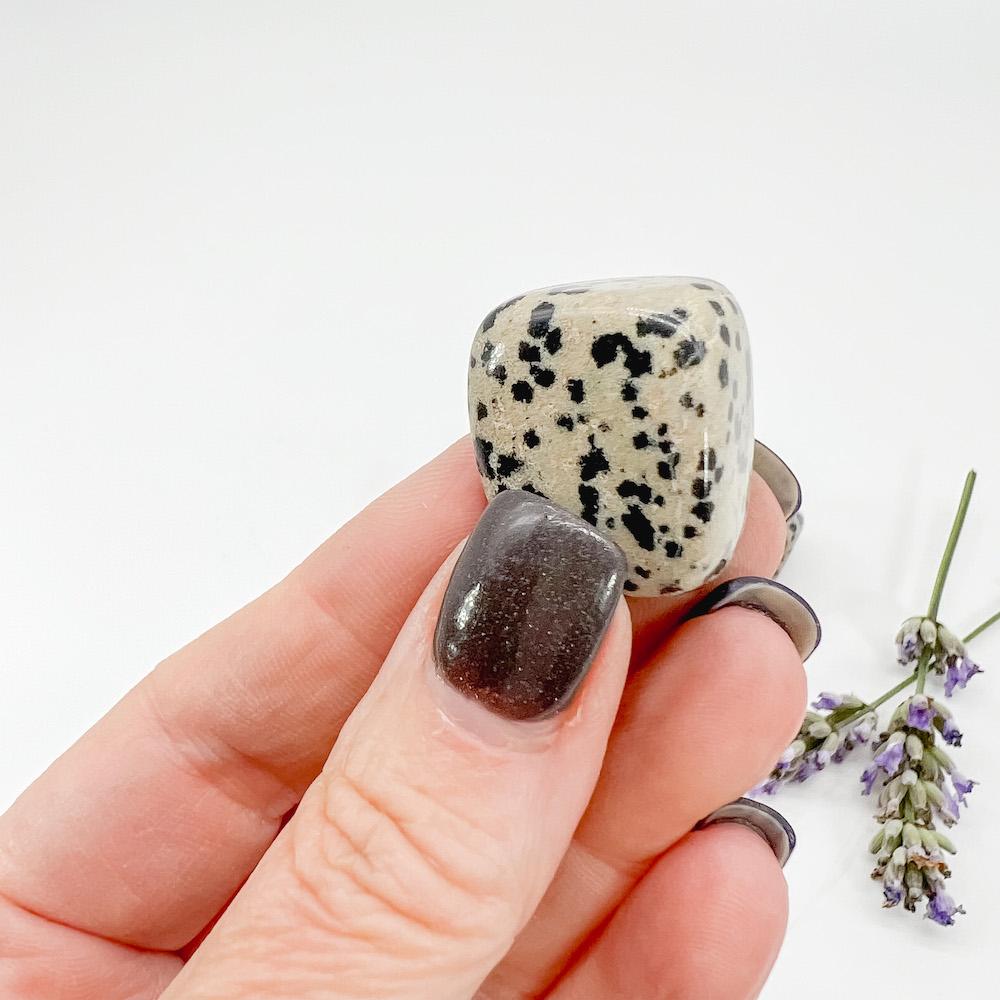 Dalmatian Jasper Tumbled - Image 3