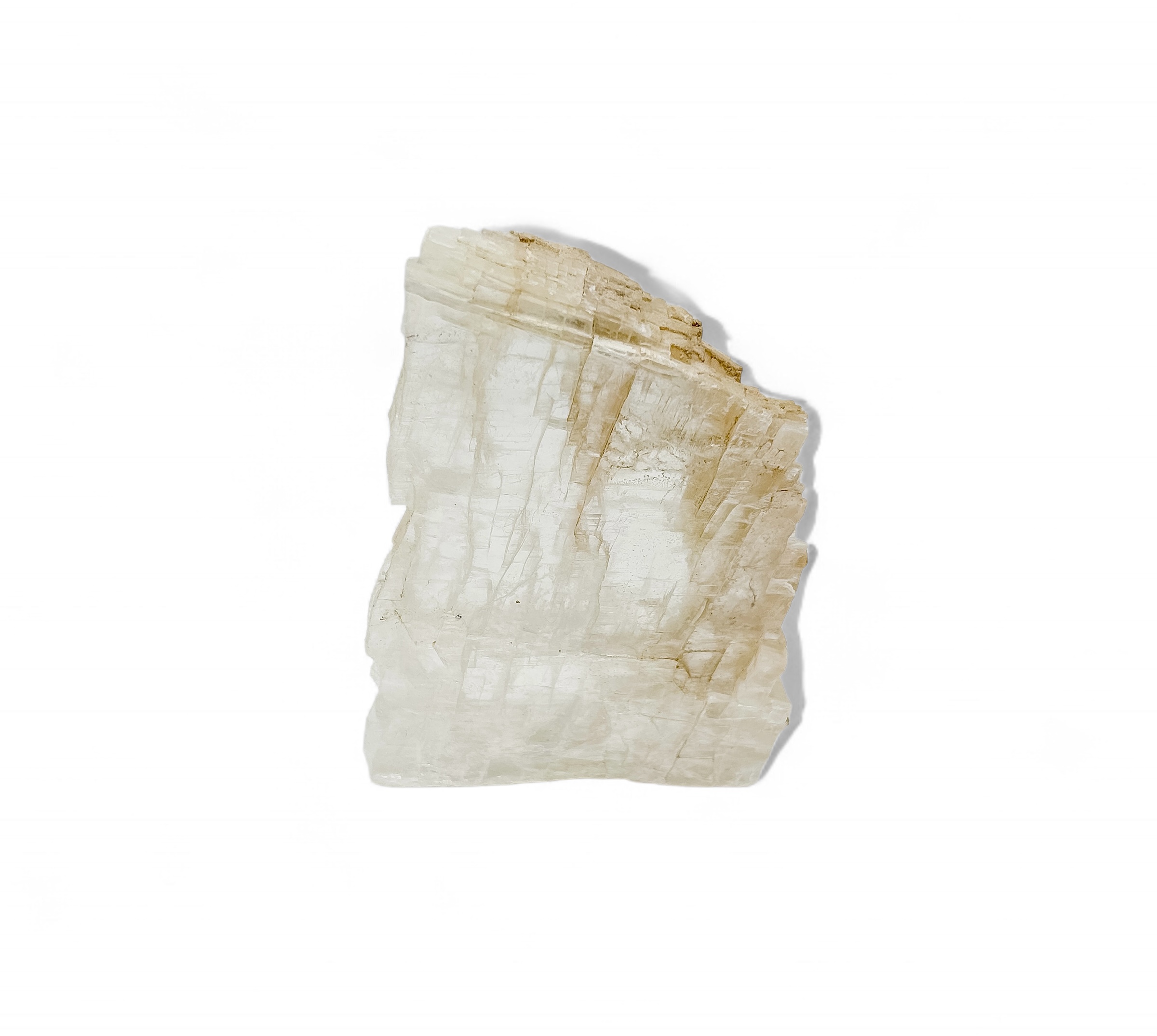 Fish Tail Selenite 226 g
