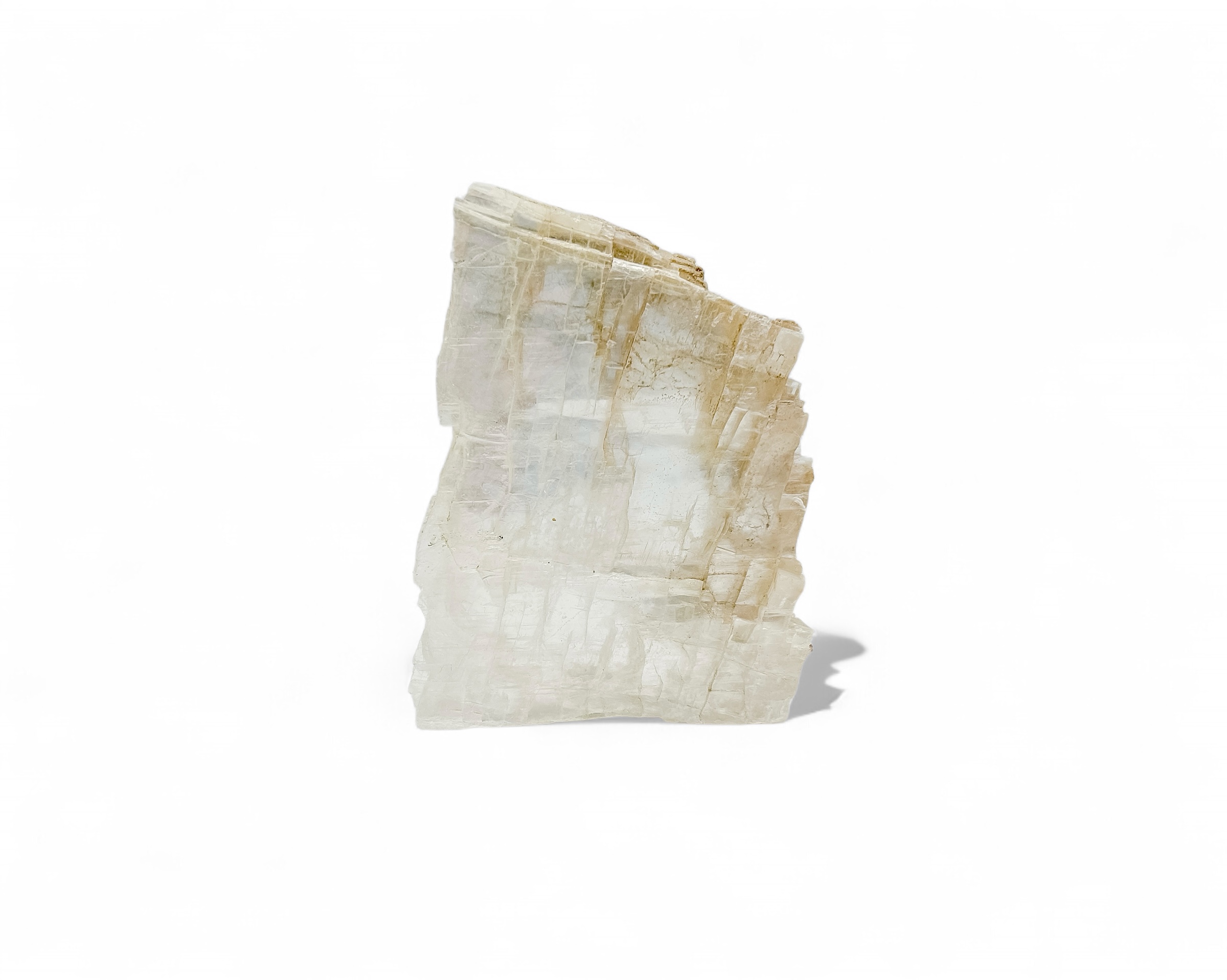 Fish Tail Selenite 226 g - Image 2