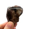 Garden Quartz Part Polished