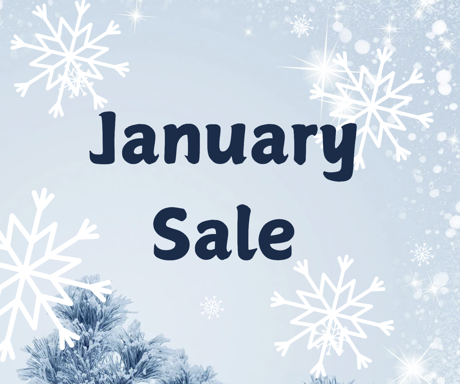 January Sale 2026